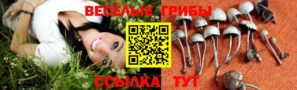 Псилоцибиновые грибы ЛСД Протвино